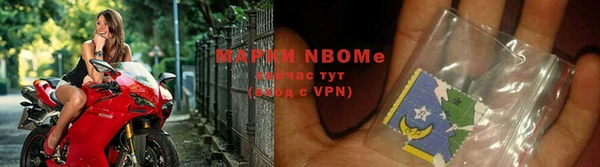 трава Арсеньев