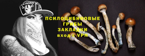 соль ск Аркадак